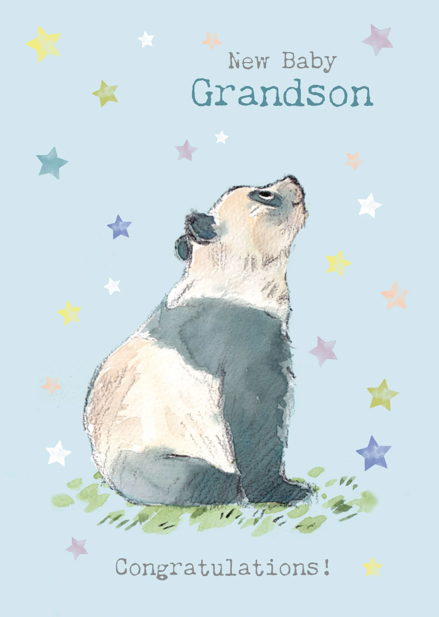 Blue Panda With Stars Baby Card