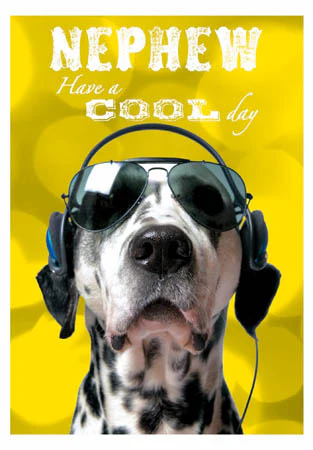 Cool Dalmation Nephew Birthday Card