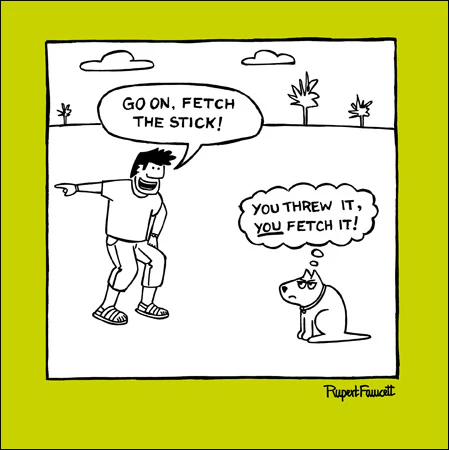 Fetch The Stick Card