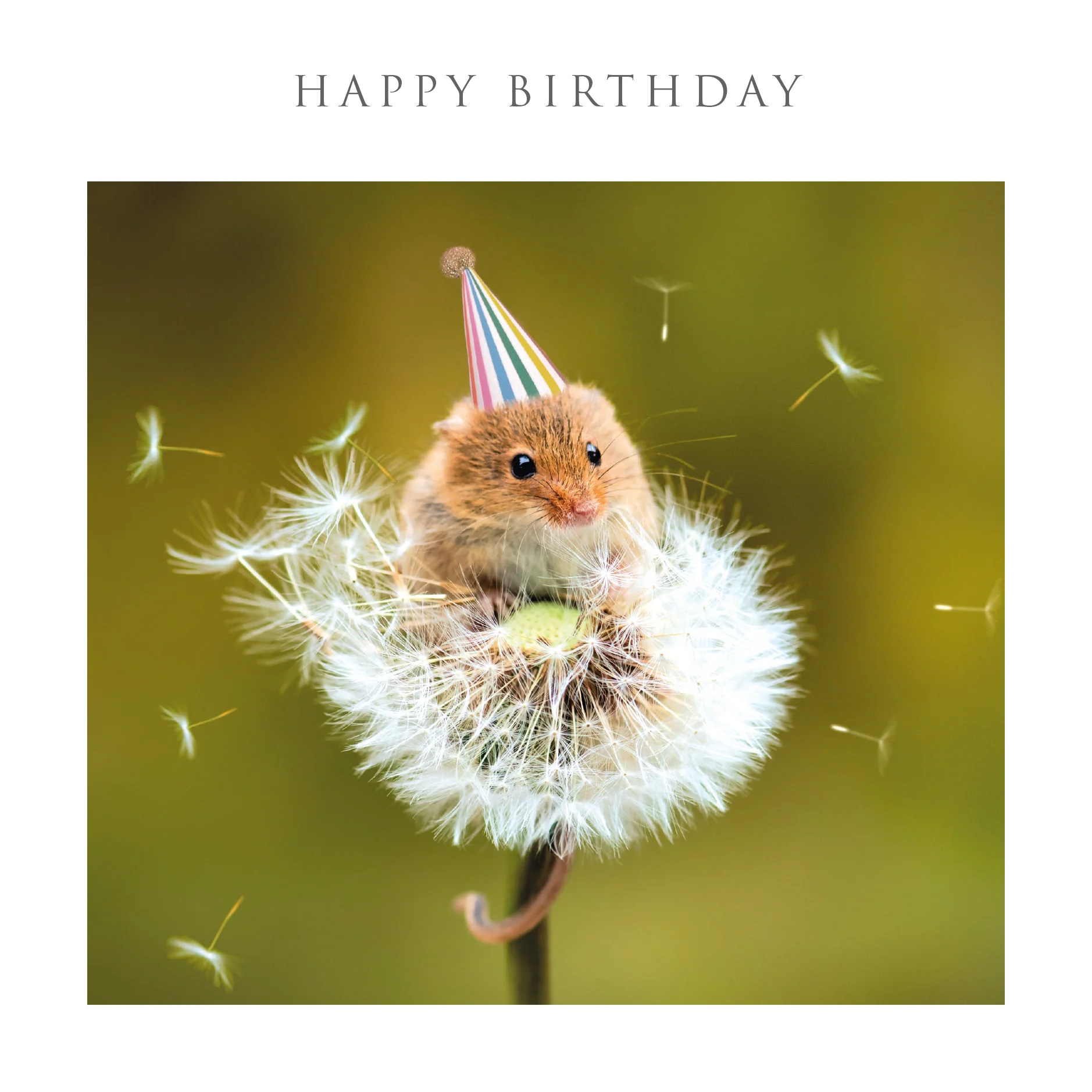 Happy Birthday Mouse Card