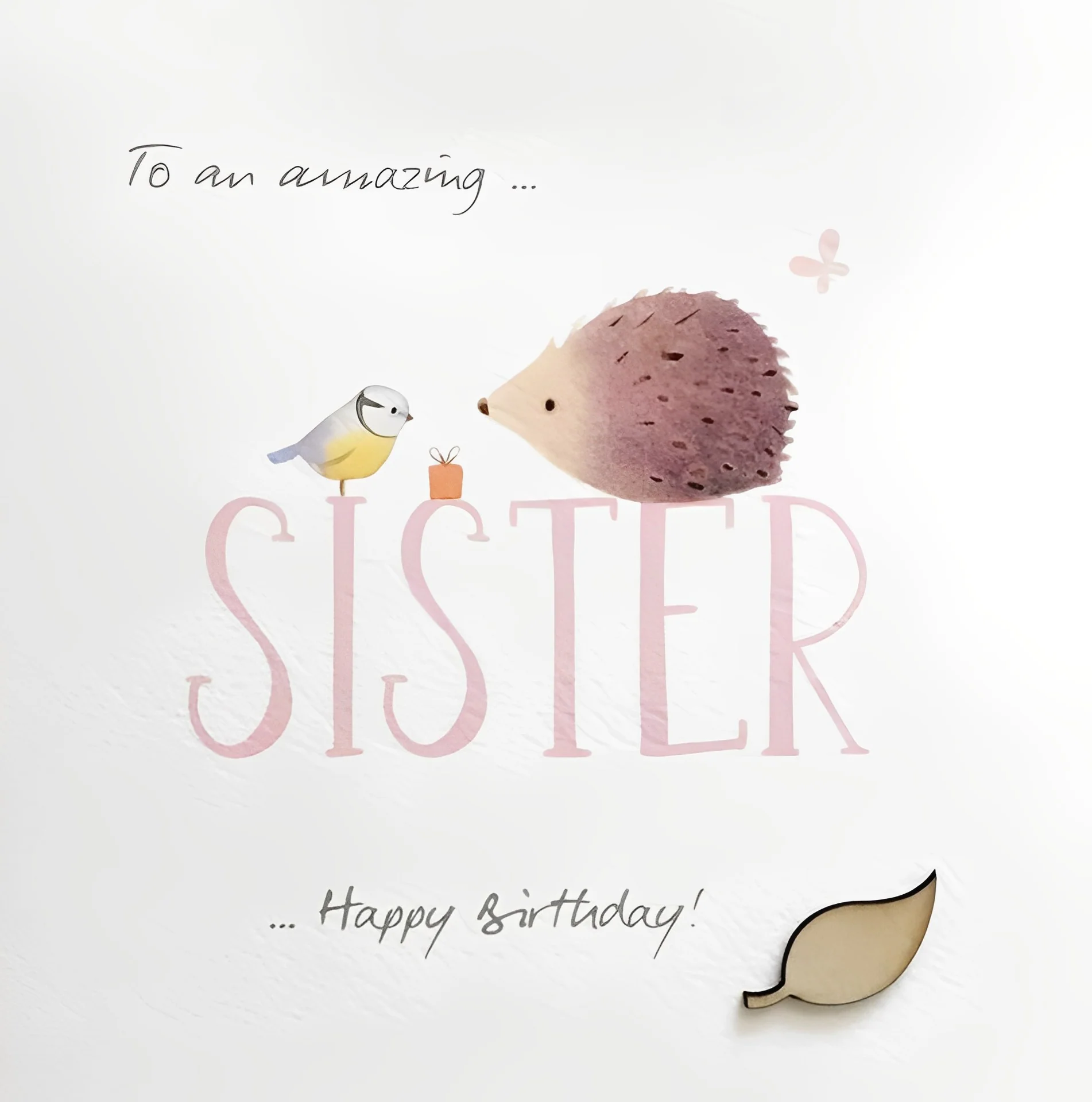 Hedgehog And Bird Sister Birthday Card
