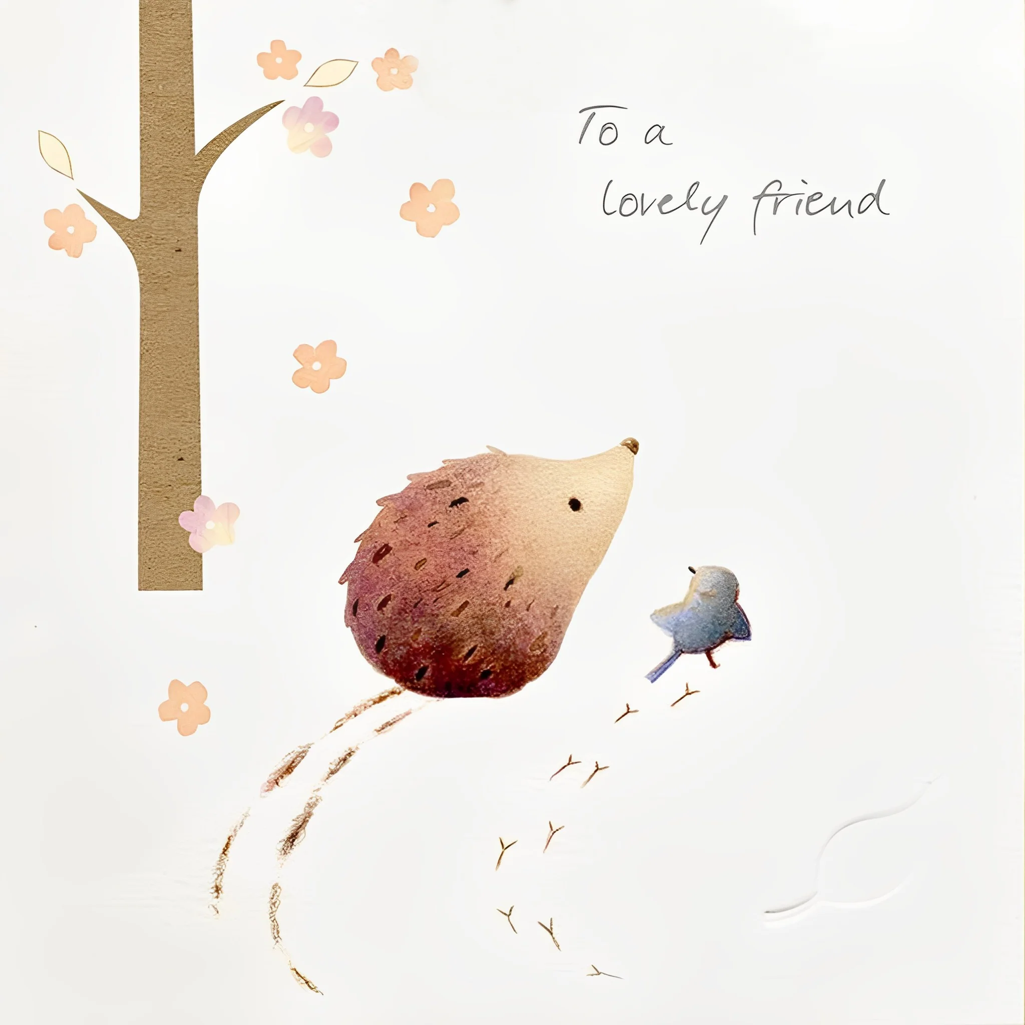 Hedgehog Lovely Friend Birthday Card