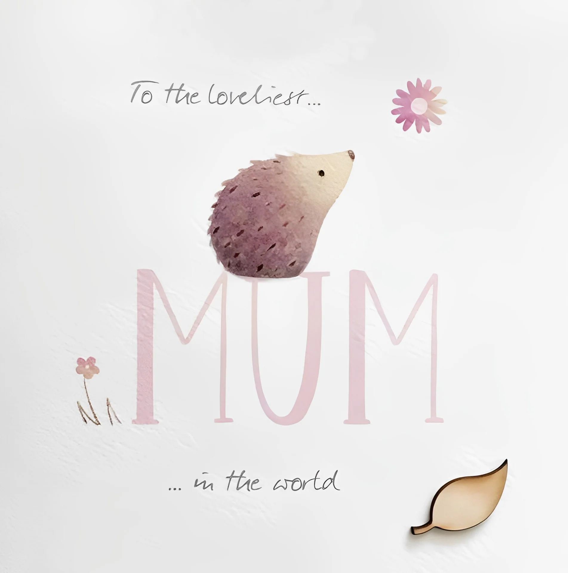 Hedgehog Lovely Mum Birthday Card