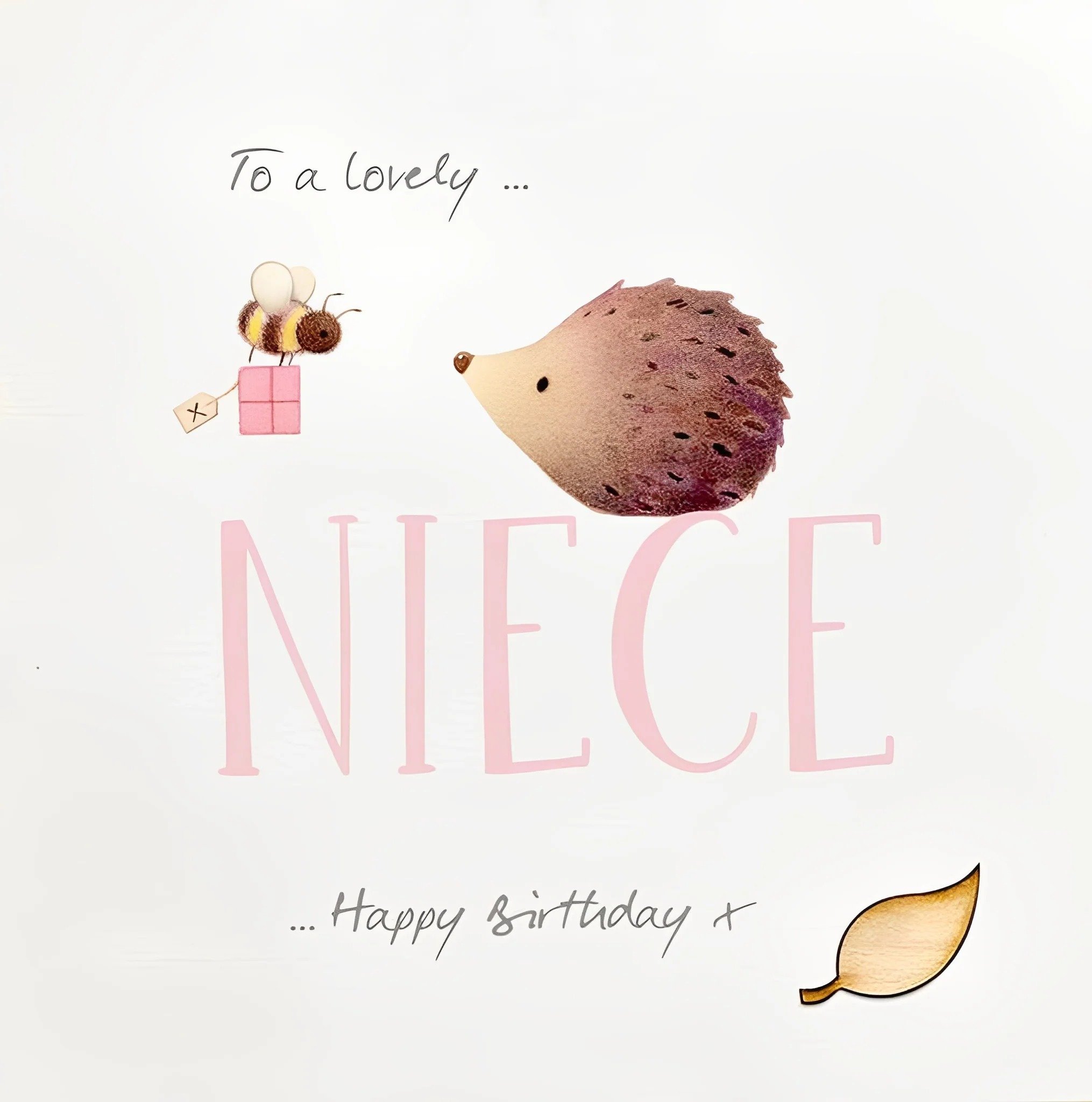 Hedgehog Lovely Niece Birthday Card