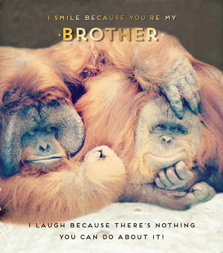 Orangutans Brother Birthday Card