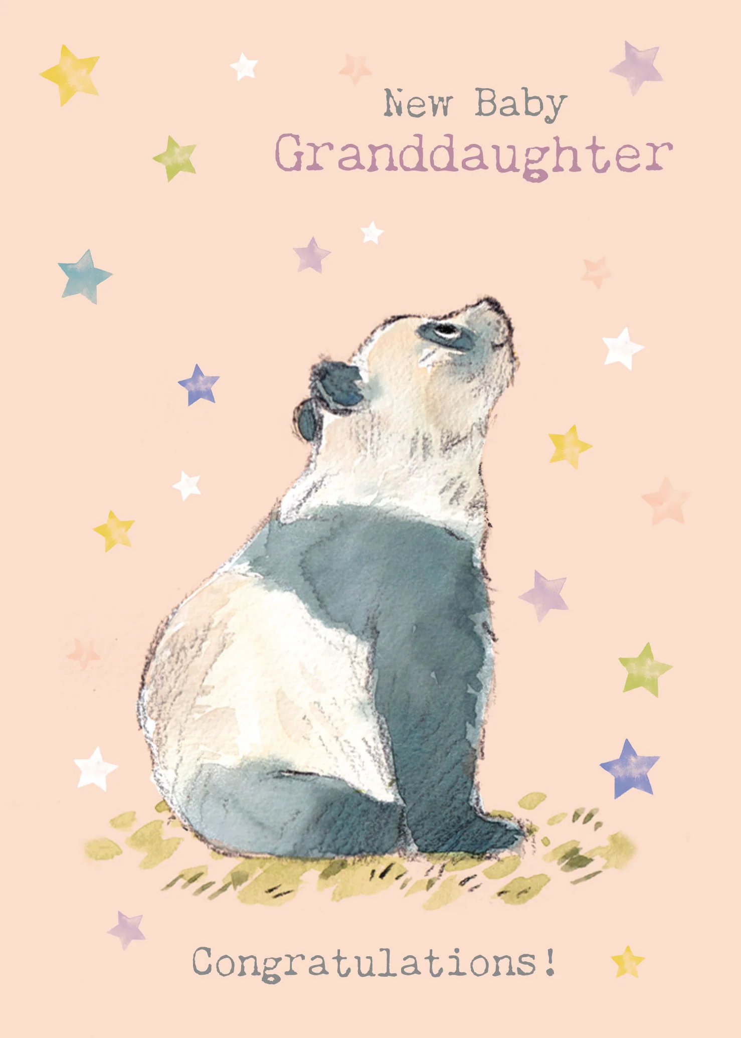 Pink Panda With Stars Baby Card