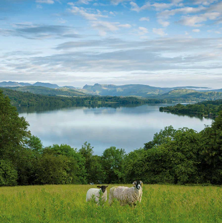 Wray Castle From Across Lake Windermere Card
