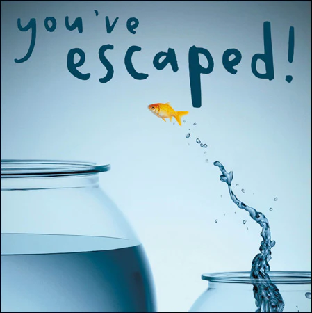 You've Escaped Fish Card
